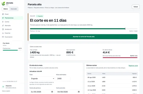 La ficha de una plantación con los datos oficiales del Catastro: referencia catastral, dirección, superficie de parcela, uso principal y clase.